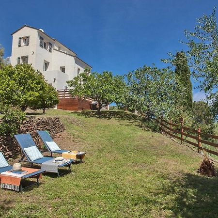 vita nova Santa-Maria-di-Lota Esterno foto