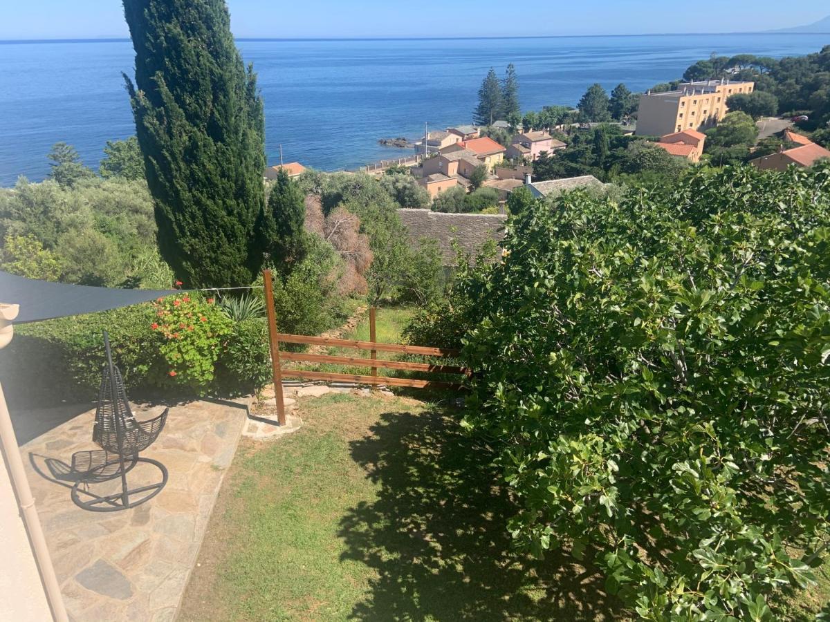 vita nova Santa-Maria-di-Lota Esterno foto