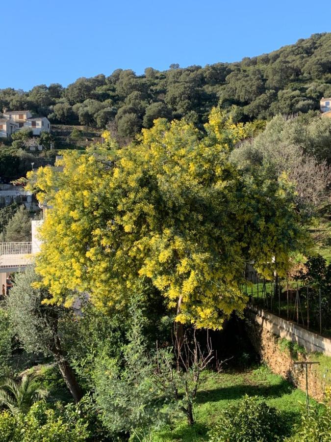 vita nova Santa-Maria-di-Lota Esterno foto