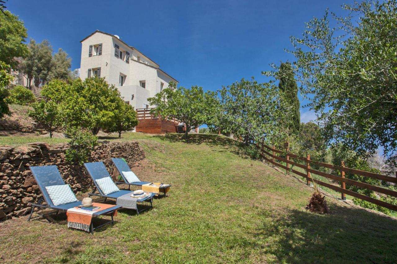 vita nova Santa-Maria-di-Lota Esterno foto