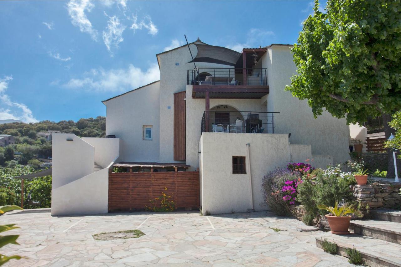 vita nova Santa-Maria-di-Lota Esterno foto