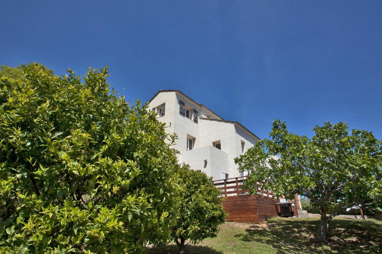 vita nova Santa-Maria-di-Lota Esterno foto