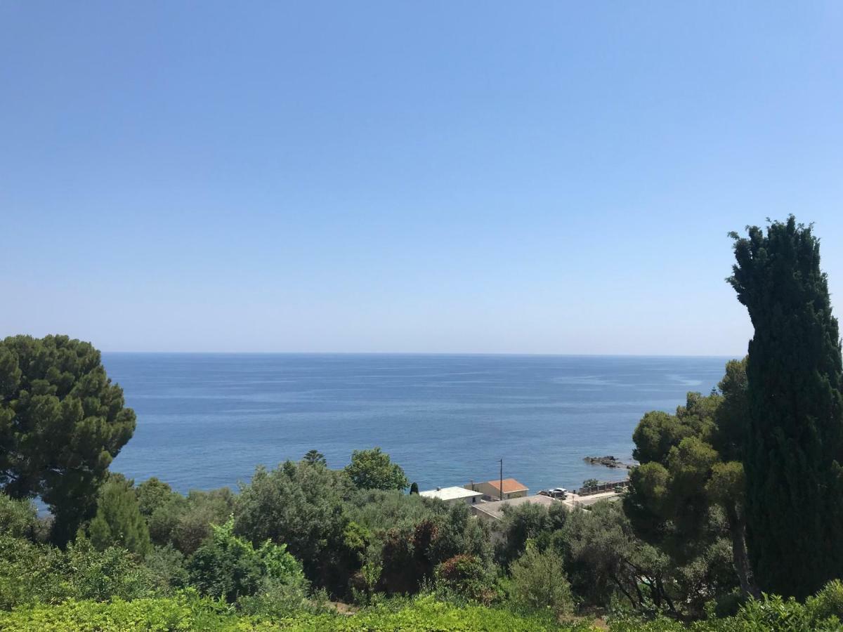 vita nova Santa-Maria-di-Lota Esterno foto