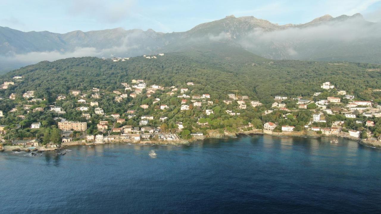 vita nova Santa-Maria-di-Lota Esterno foto